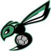 only_hornet_final_512-512